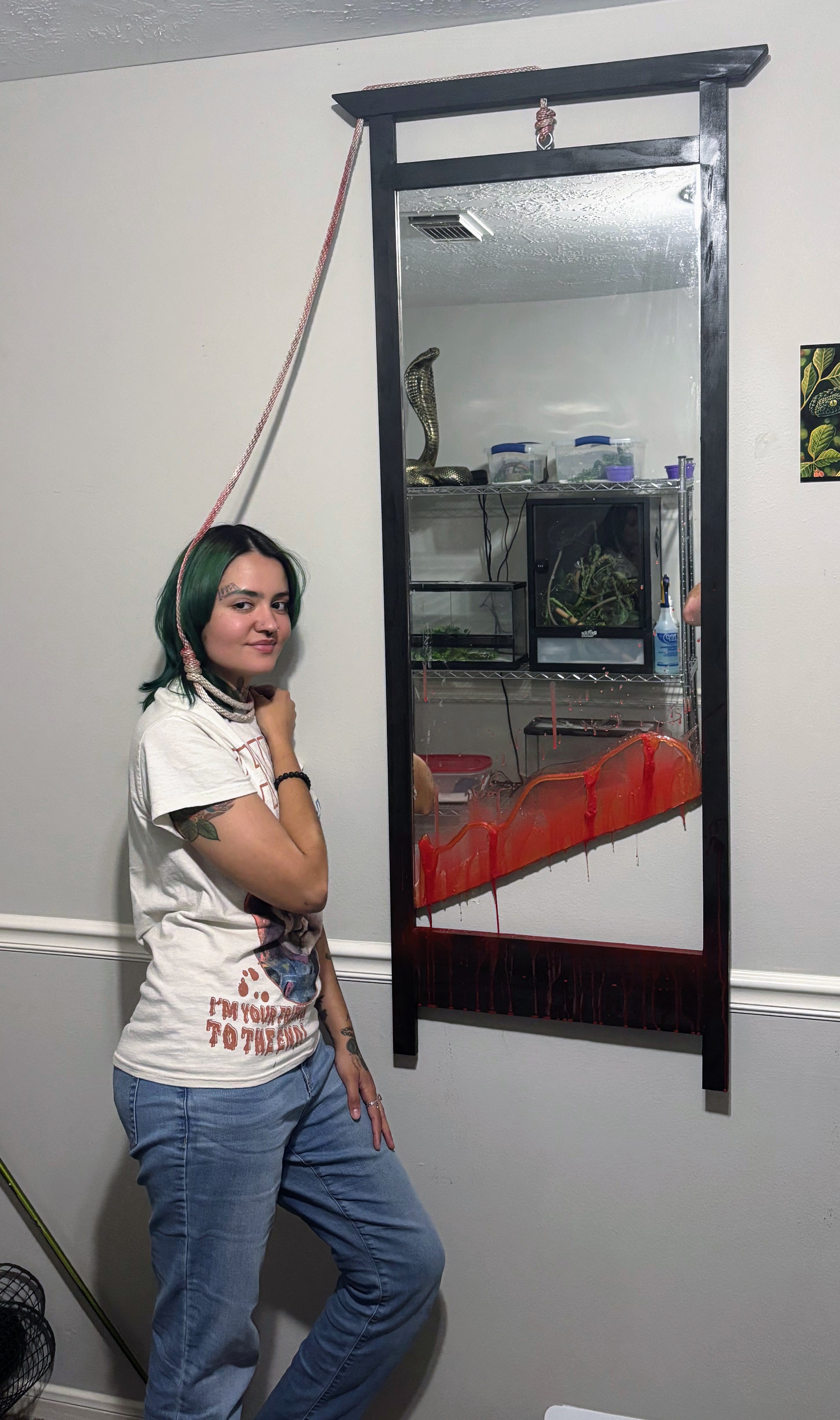 The Guillotine Mirror