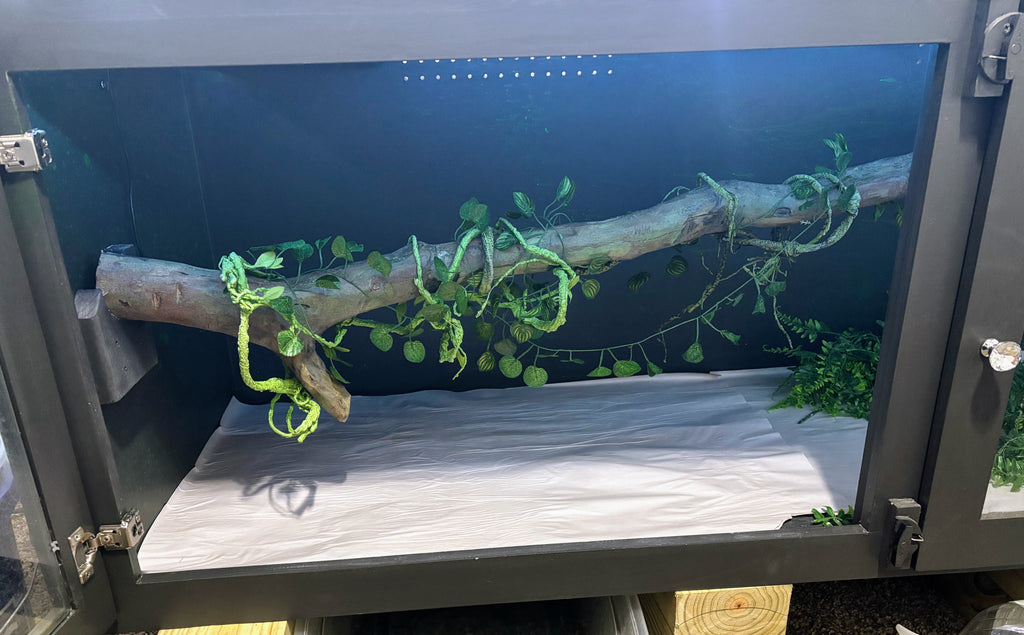 Premium Wood Enclosure