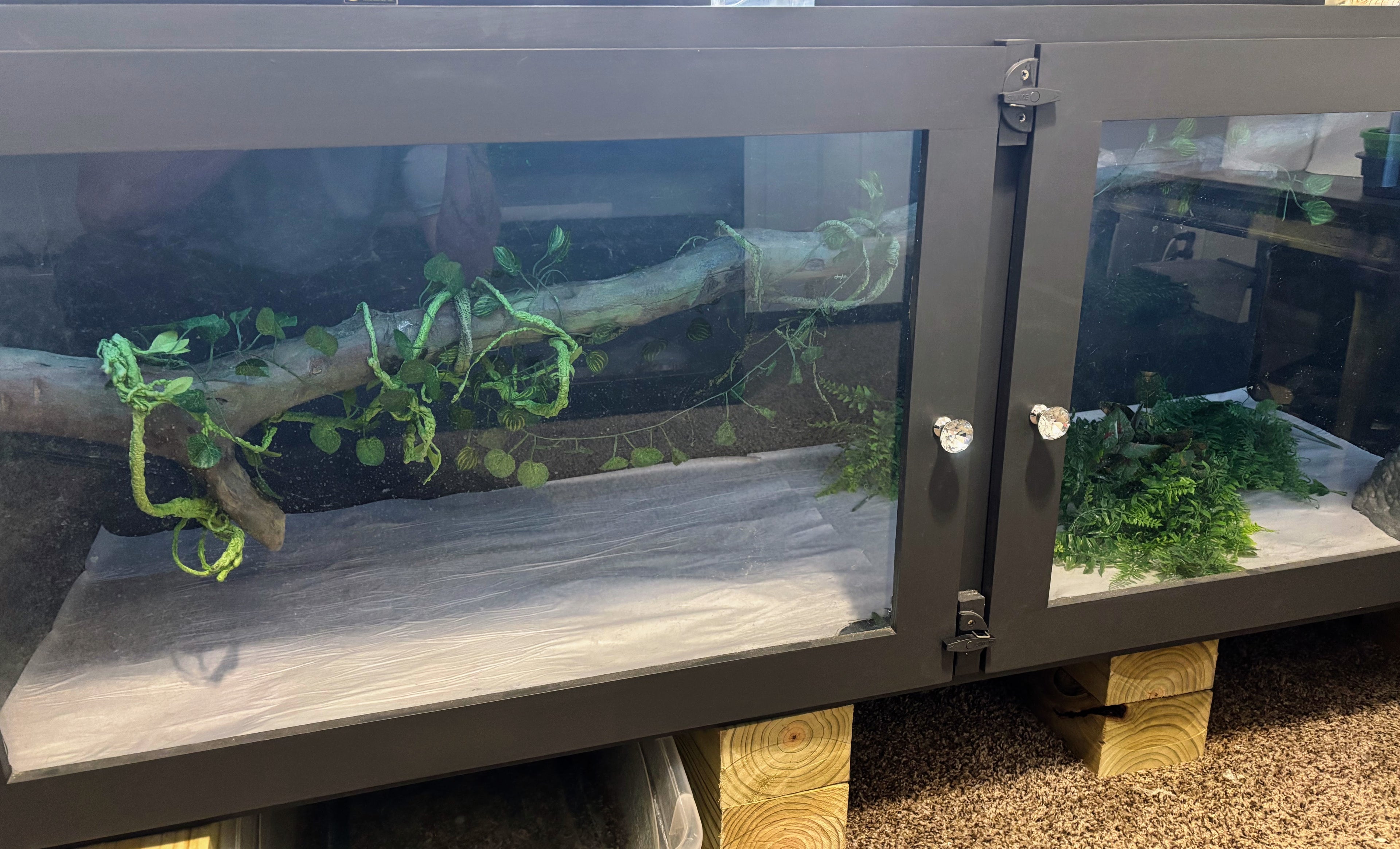 Premium Wood Enclosure