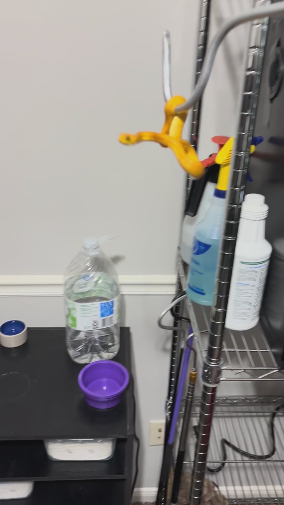 30" Carbon Fiber Snake Hook