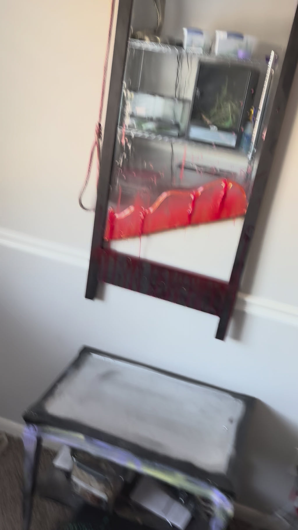 The Guillotine Mirror