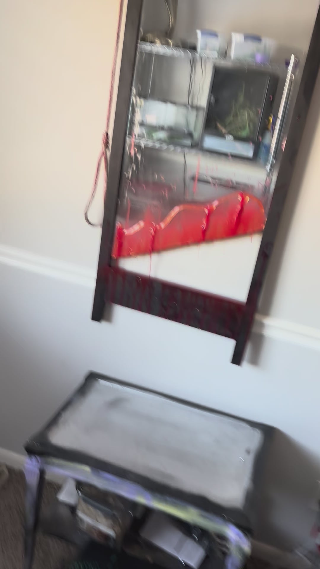 The Guillotine Mirror